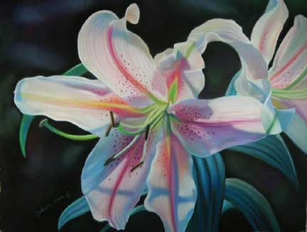 Stargazer