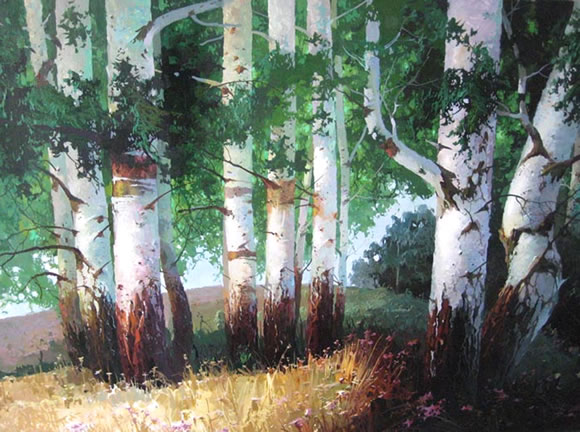 Birch Trees