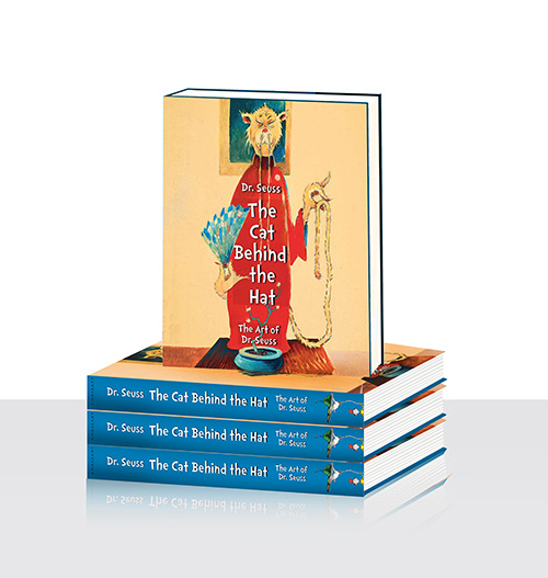 Cat Behind the Hat book