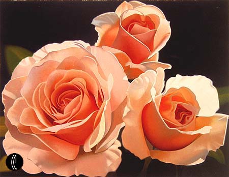 Brian Davis