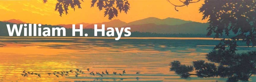 William Hays
        linocuts at Saper Galleries
