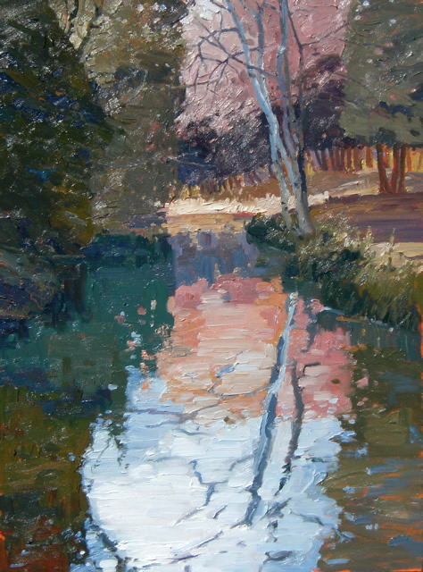 Barelimbed Birch