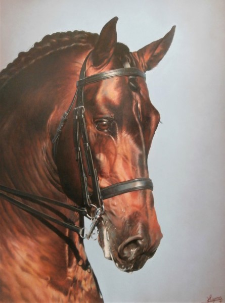 Working horse