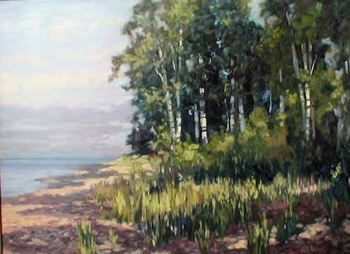 McClearyBirch Trees in Morning Light