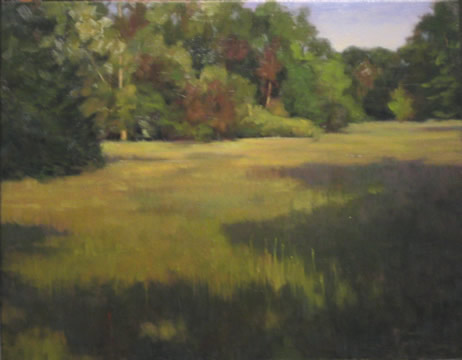 Meadow Shadows