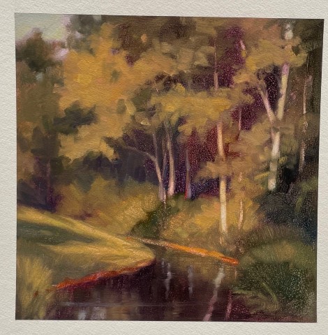 Morning Light at Stream's Bend