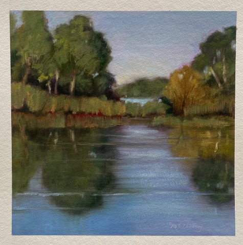 Pond
Reflections