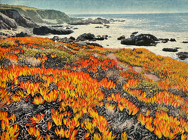 Cambria Coast
