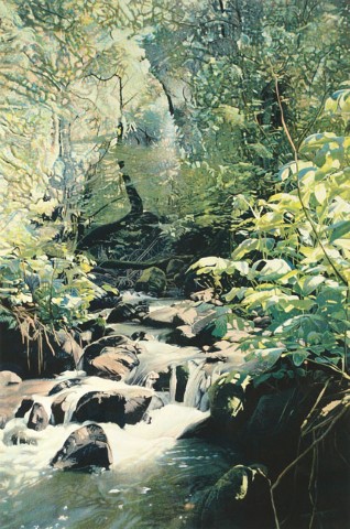 Cavedale Creek
1980