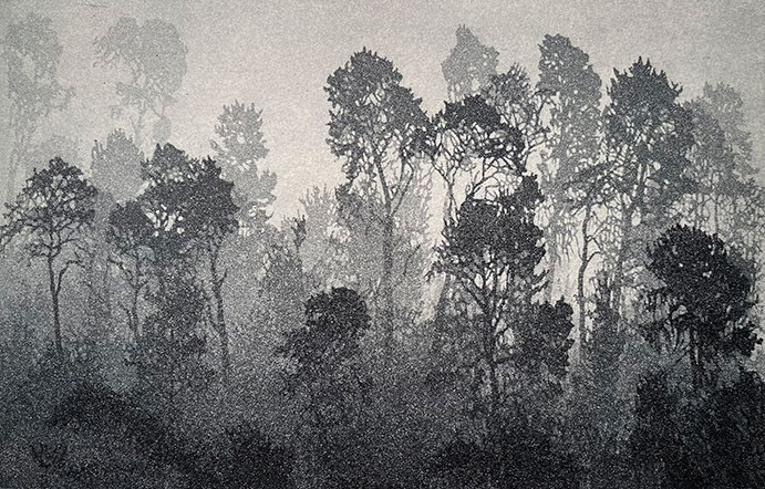 Coastal Fog