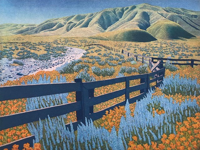 Fence lines