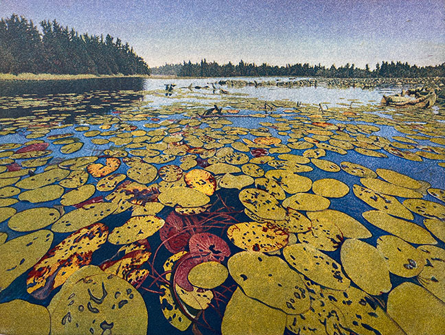 Lily Pad