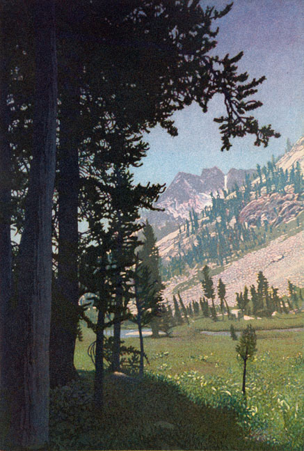 Little Pete
Meadow