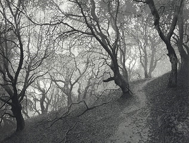 Oak Path 1 plate