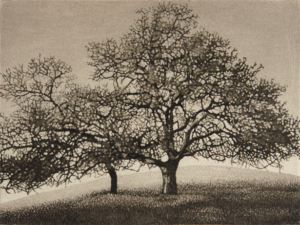 Pacific Oaks