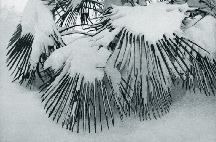 Snow
Patterns