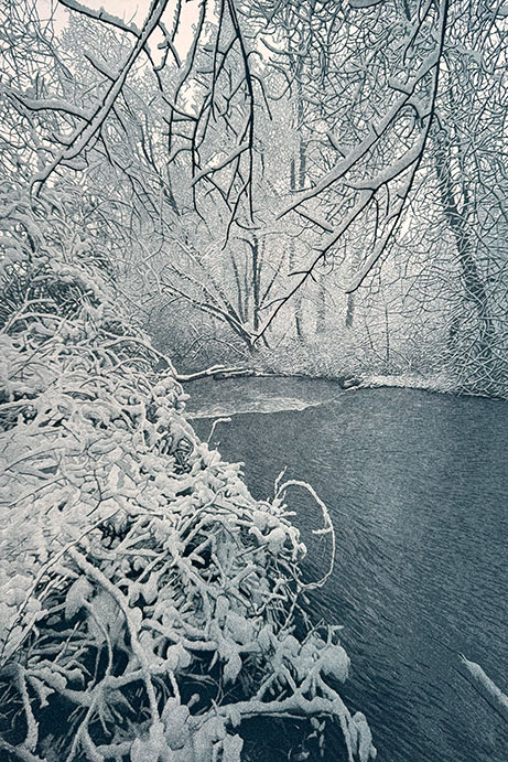Spring Snow