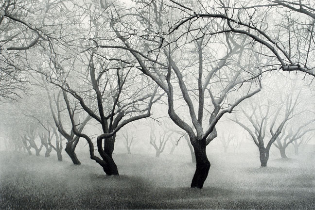 Valley Fog