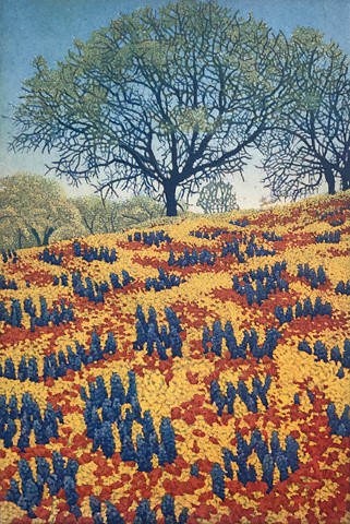 Wildflowers