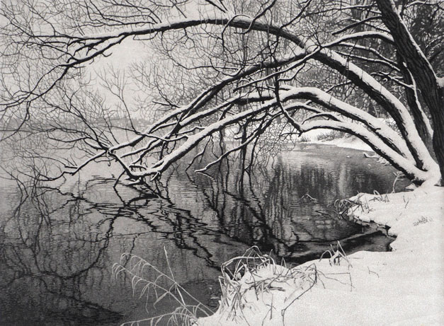 Winter
Reflections