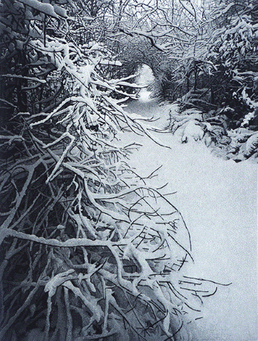 Winter Zen