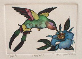 8 Hummingbirds Close Up
