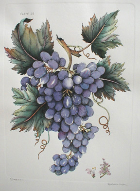 Grapes