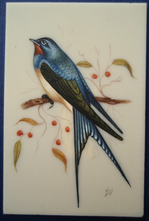 Bird and Berries