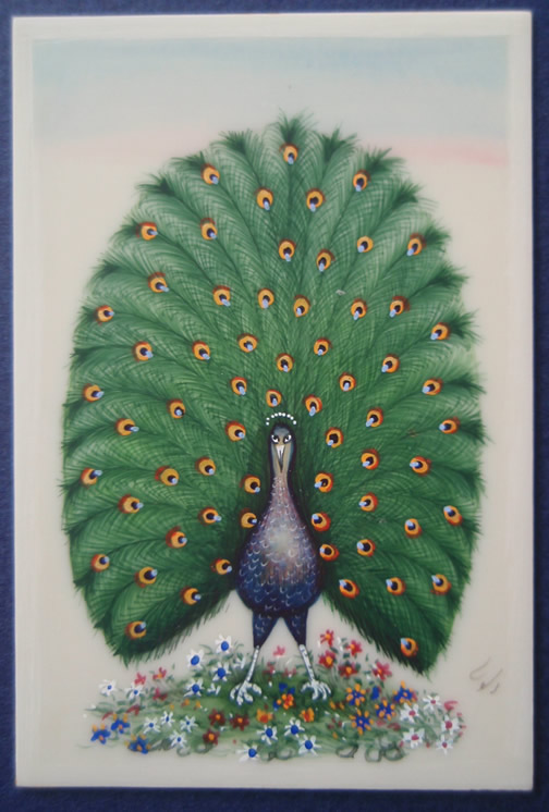 Green Peacock