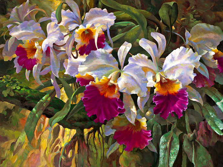 Cattleya Magnificent