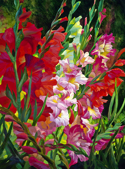 Gladiolas