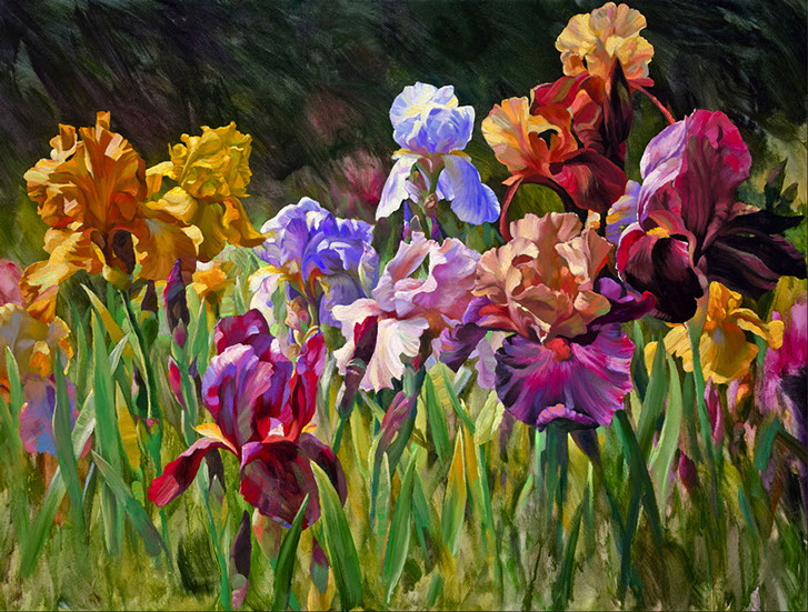 Iris
Forever