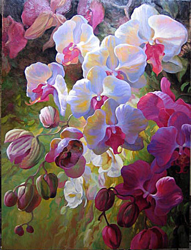 Orchid
Fusion