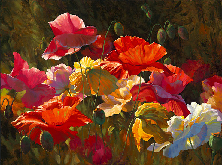 Poppies in Sunshine