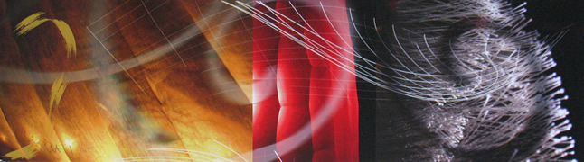 Stray Voltage